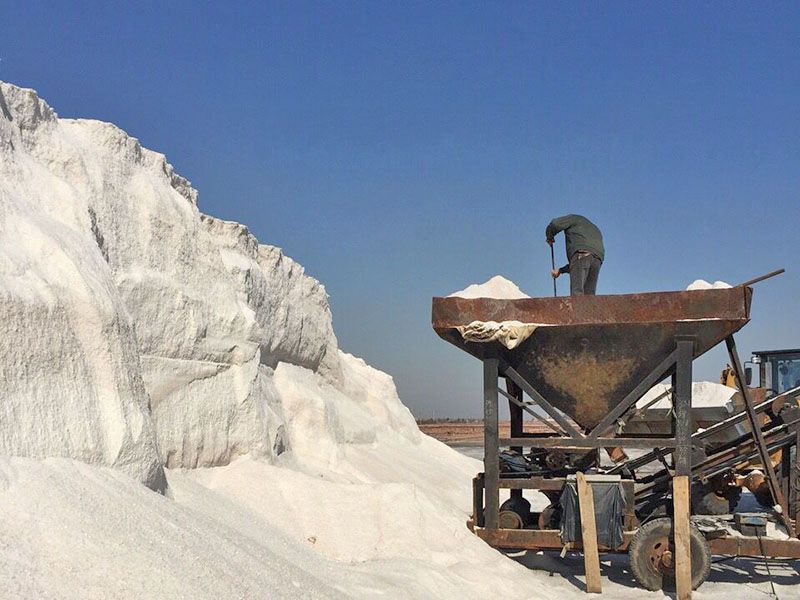 發(fā)貨現(xiàn)場(chǎng)